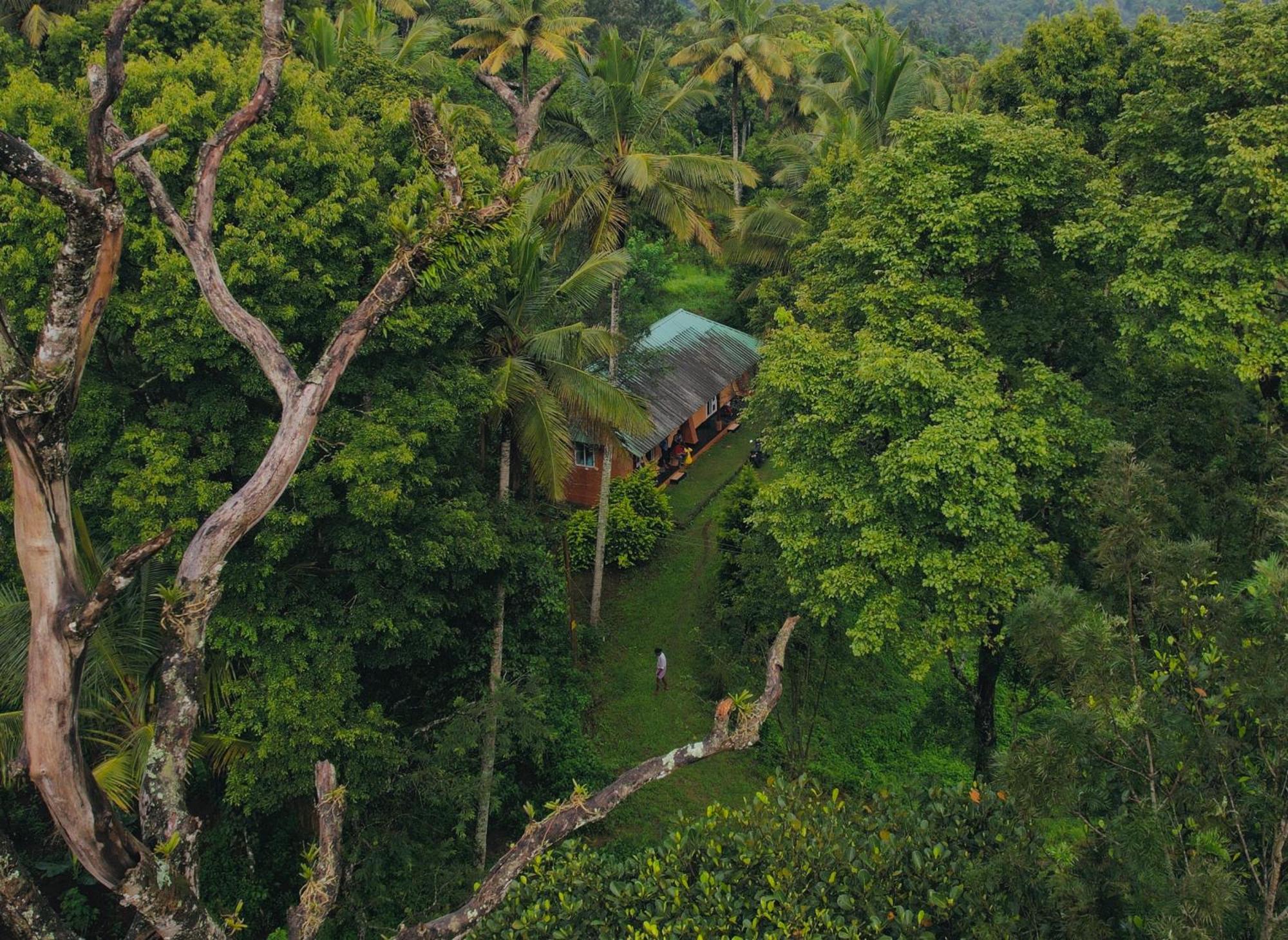 Punarjani Ayurvedic Resorts Ramakkalmedu ภายนอก รูปภาพ